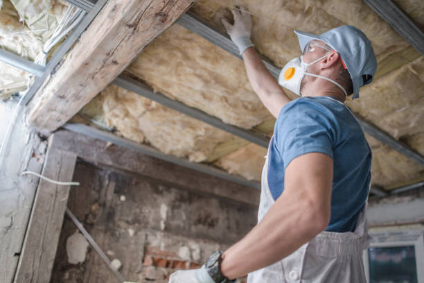 Best DIY Insulation Kits and Guidance in Cullman, AL
